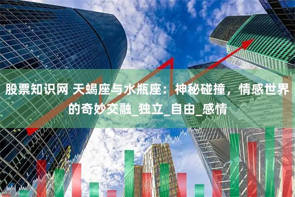 股票知识网 天蝎座与水瓶座：神秘碰撞，情感世界的奇妙交融_独立_自由_感情