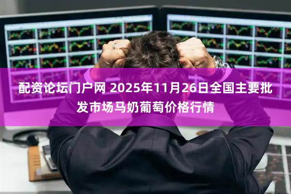 配资论坛门户网 2025年11月26日全国主要批发市场马奶葡萄价格行情